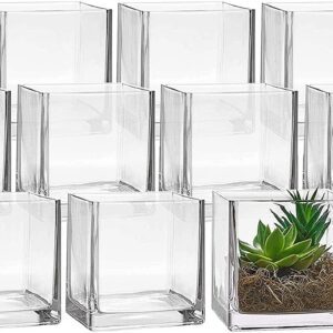 Empty and filled glass planters display