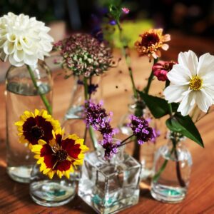 Colorful wildflowers in glass bottles