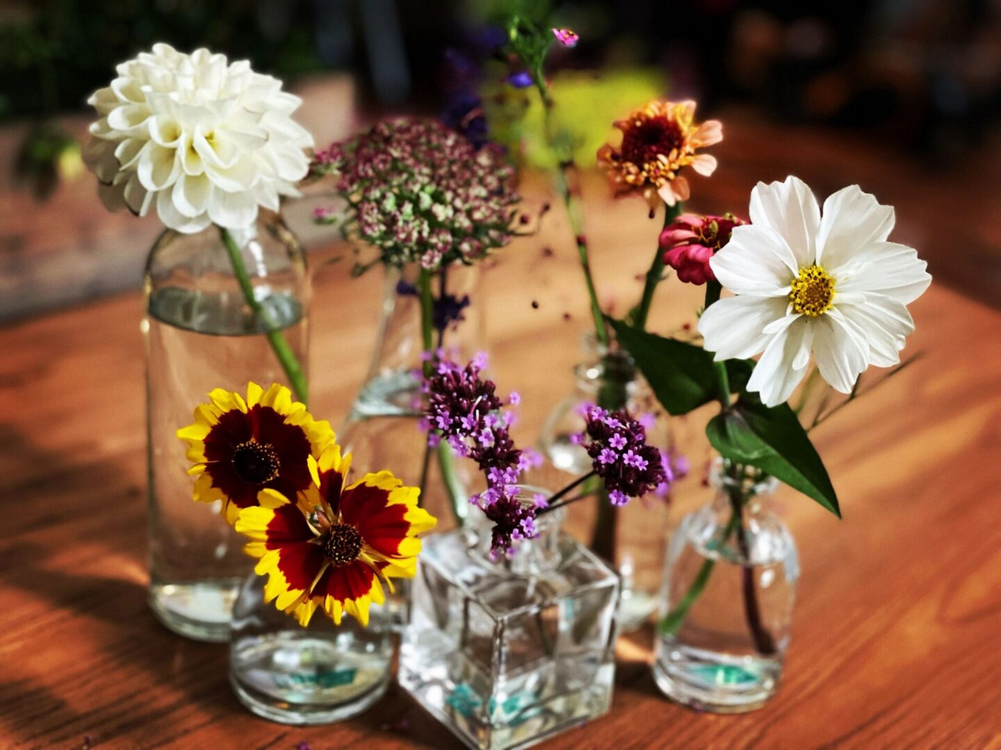Colorful wildflowers in glass bottles