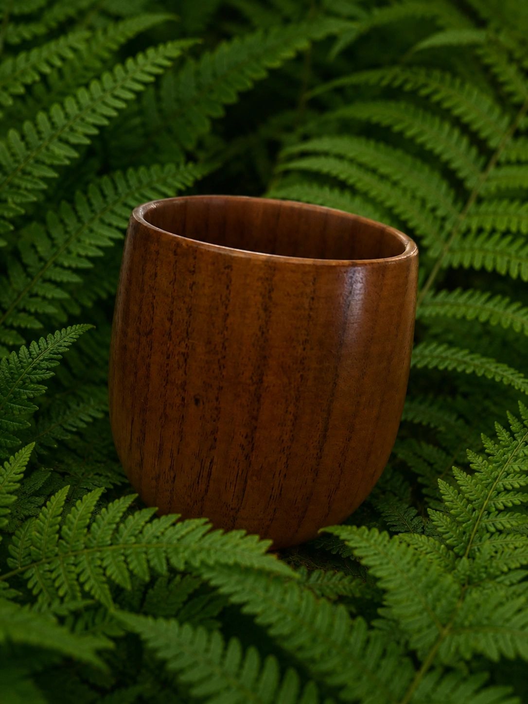 Rustic wooden cup among ferns