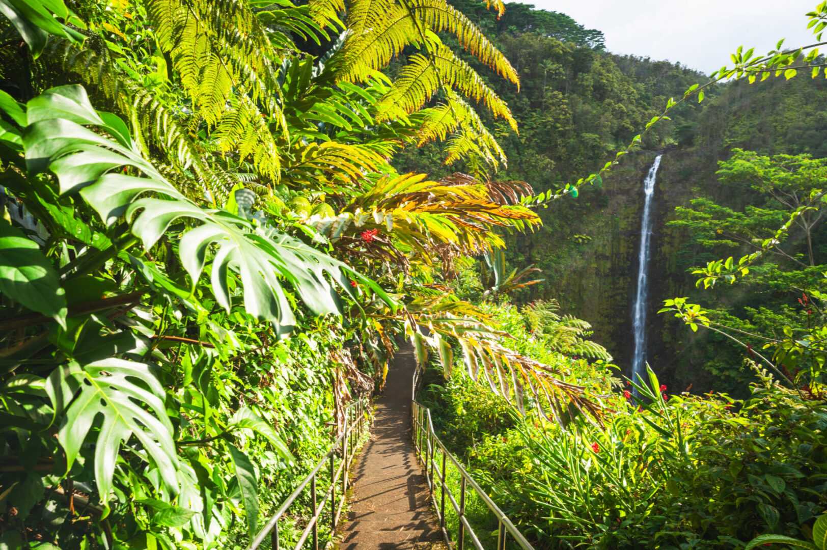 Big Island