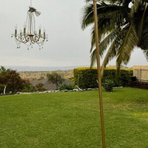 Chandelier hanging under palm tree