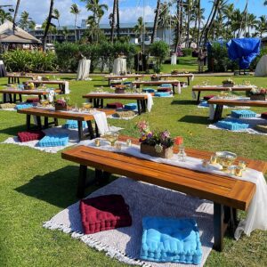 Elegant garden picnic with colorful seating
