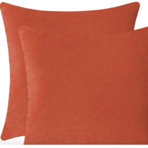 Pair of orange square pillows