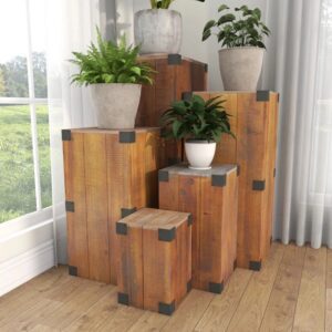 Indoor plants on wooden boxes