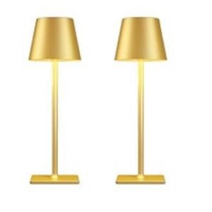 Pair of sleek gold lamps