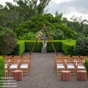 Wood Folding Chairs in Tan & White