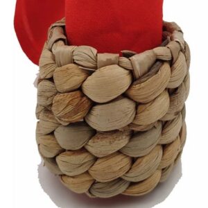 Woven holder with red cloth inside