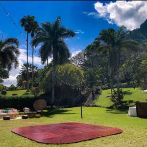 Scenic garden with seating setup