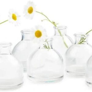 Daisies in transparent round vases
