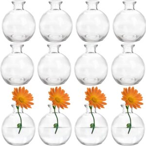 Empty and flower-filled glass vases
