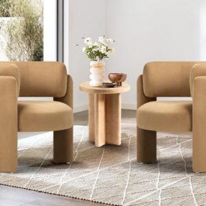 Tammy Modern Velvet Chair