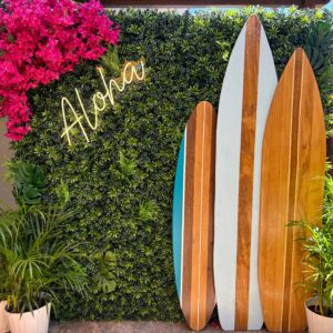 Surfboard Photo OP